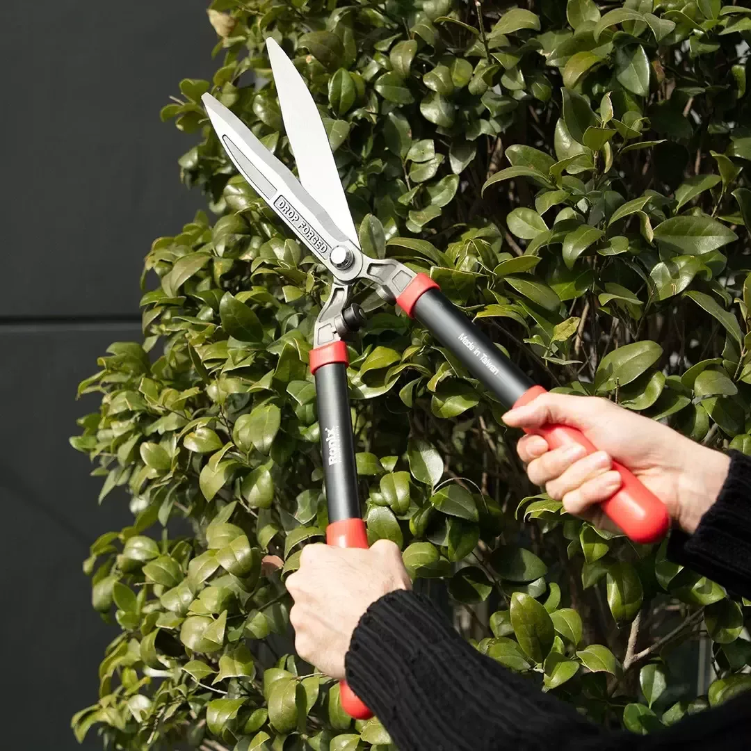 Telescopic Hedge Shear