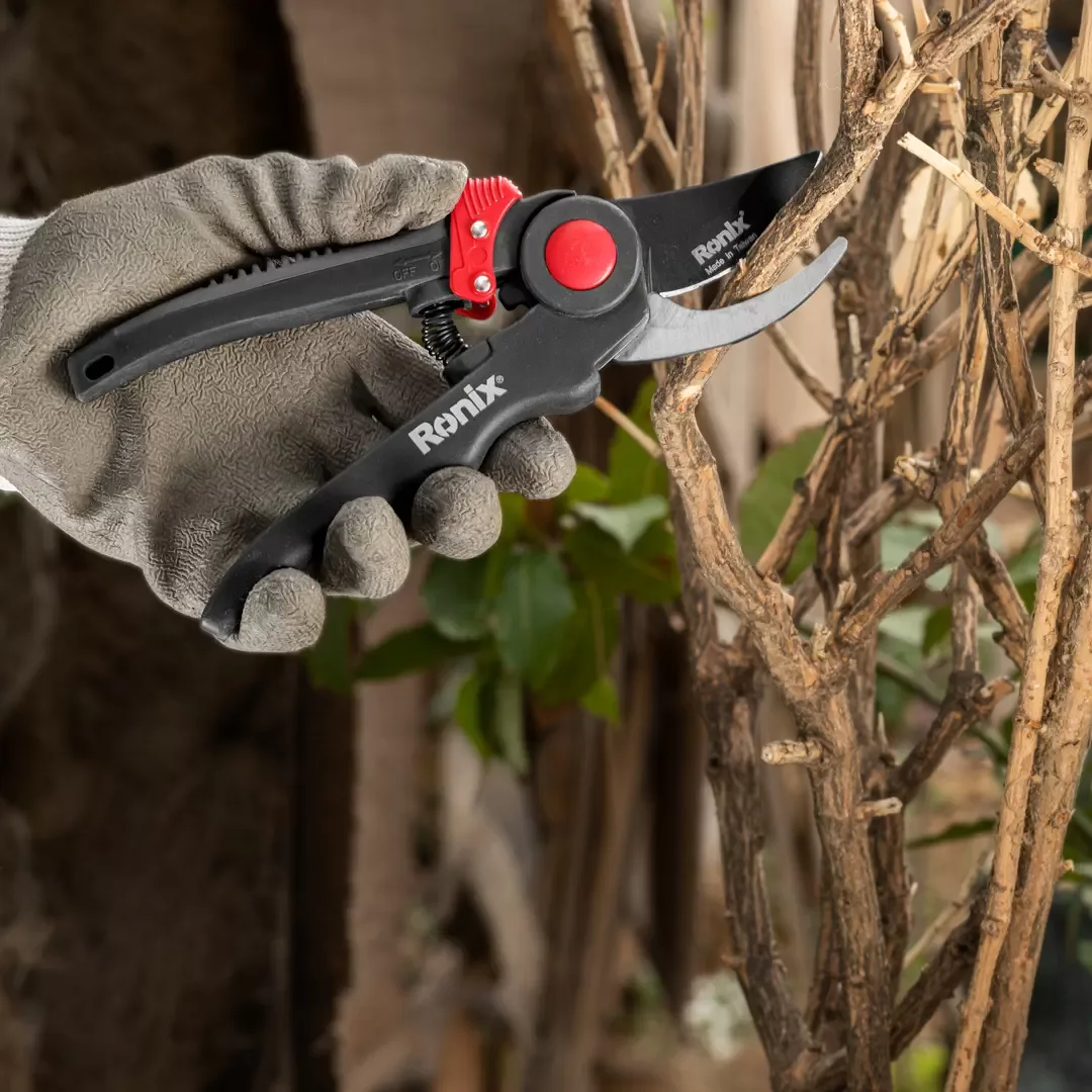 Pruning Shear-Slider Model