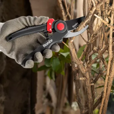 Pruning Shear-Slider Model